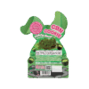 【SLEEPY RABBIT】CBNクッキー420mg・抹茶 - 画像 (2)